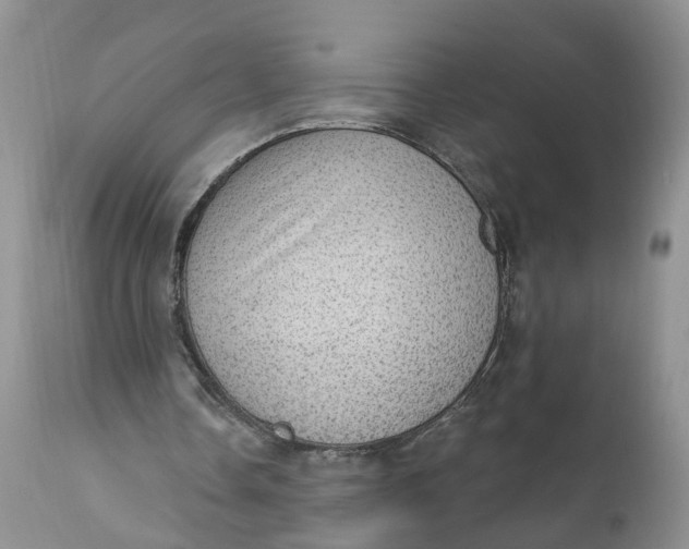 X0000111040338200907091615