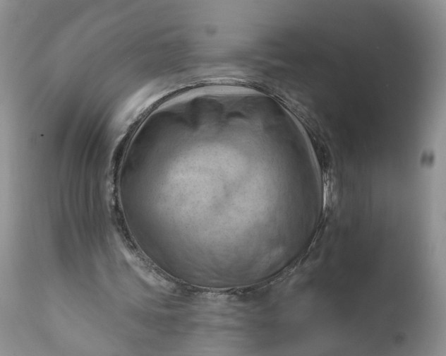 X0000111040339200907091615