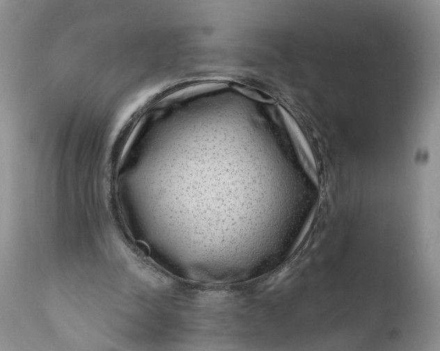 X0000111040342200907091615