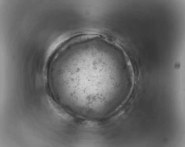 X0000111040343200907091615