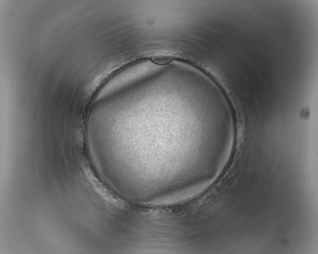 X0000111040345200907091615