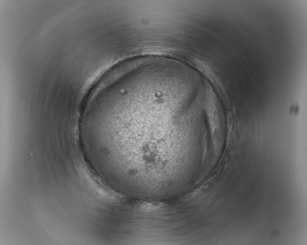 X0000111040346200907091615