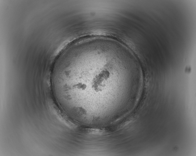 X0000111040347200907091615