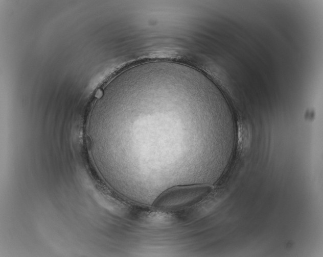 X0000111040348200907091615