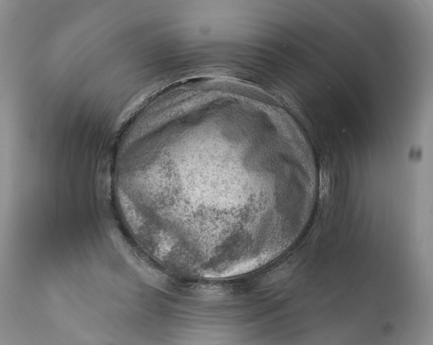 X0000111040349200907091615