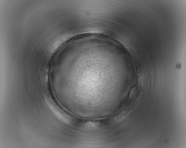 X0000111040350200907091615