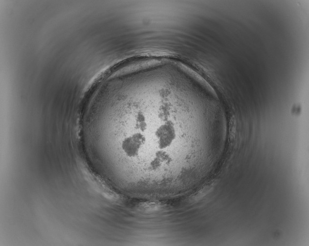 X0000111040351200907091615