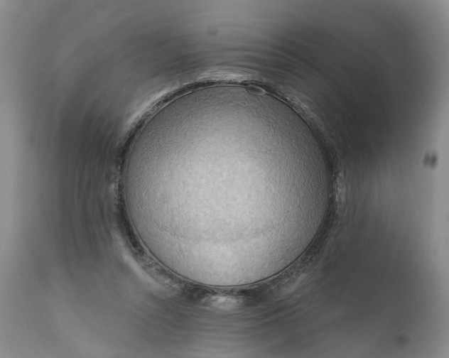 X0000111040352200907091615