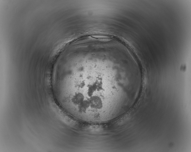 X0000111040353200907091615