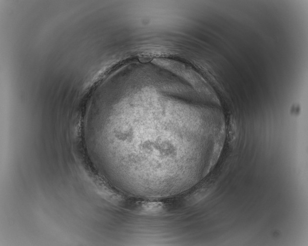 X0000111040355200907091615