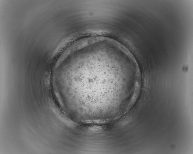 X0000111040357200907091615