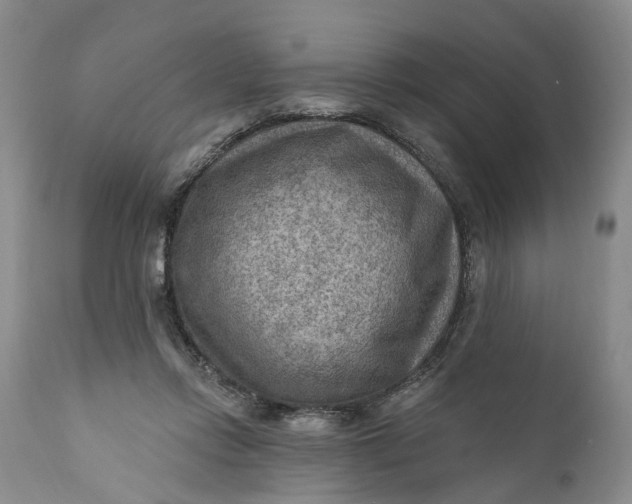 X0000111040358200907091615