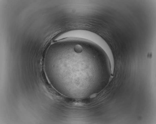 X0000111040360200907091615