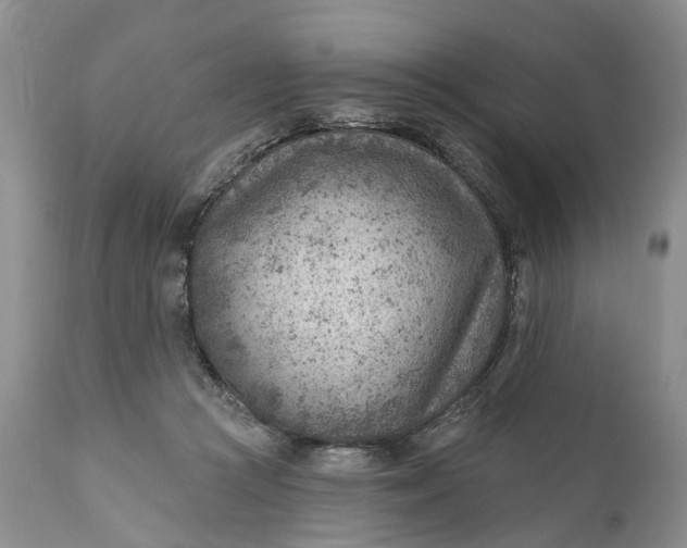 X0000111040361200907091615