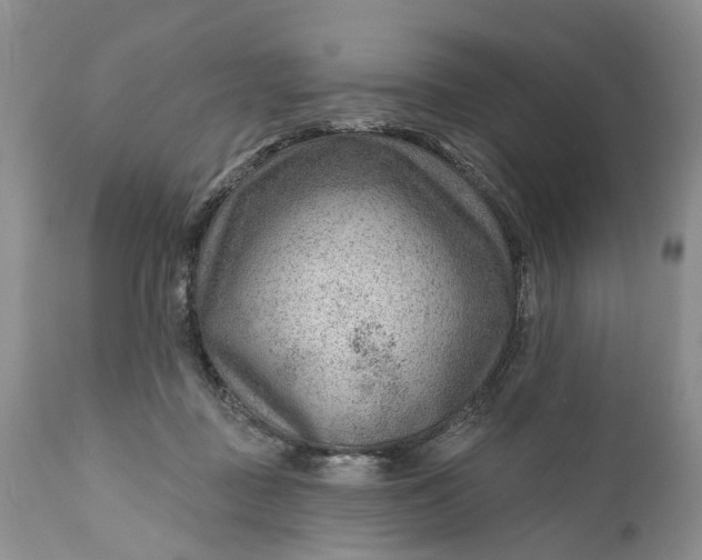 X0000111040363200907091615