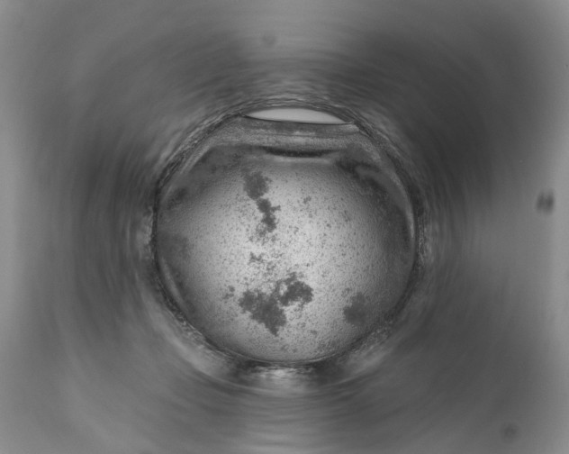 X0000111040365200907091615