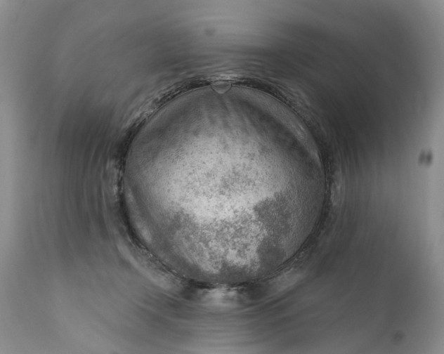 X0000111040366200907091615