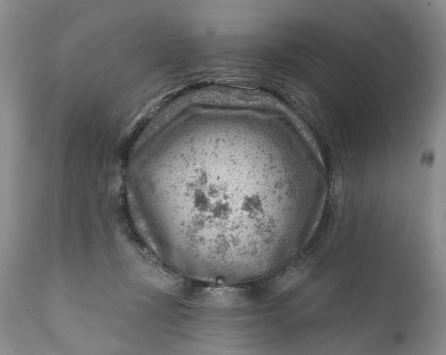 X0000111040367200907091615