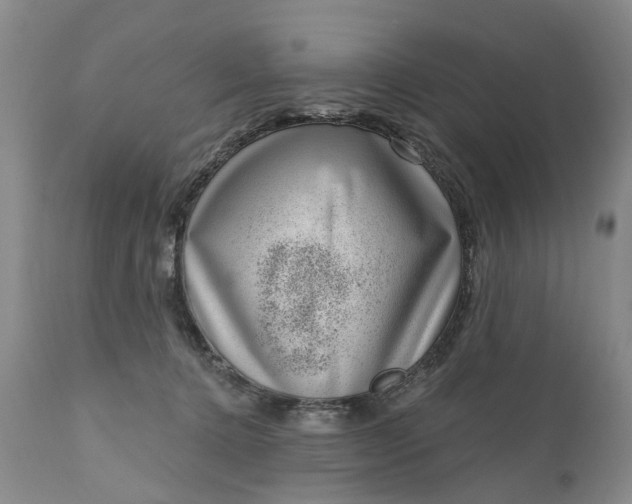 X0000111040368200907091615