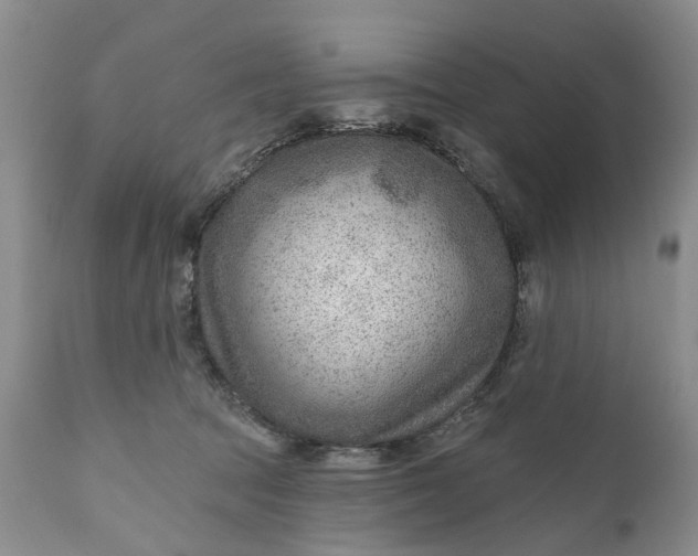 X0000111040369200907091615