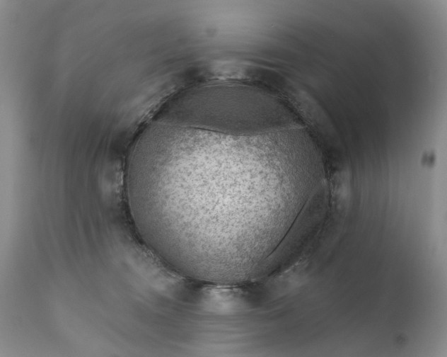 X0000111040372200907091615