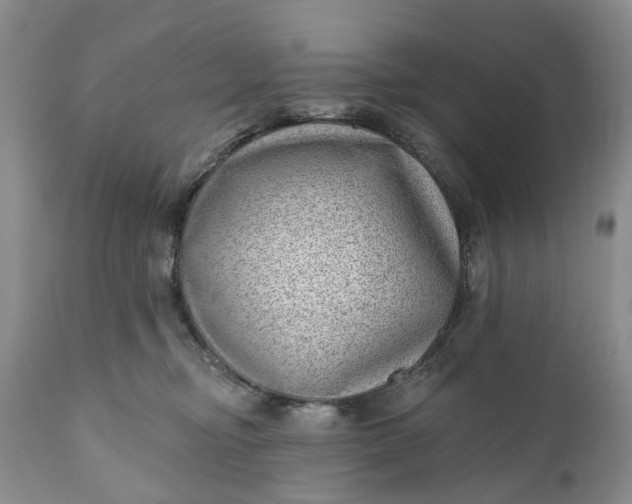 X0000111040374200907091615