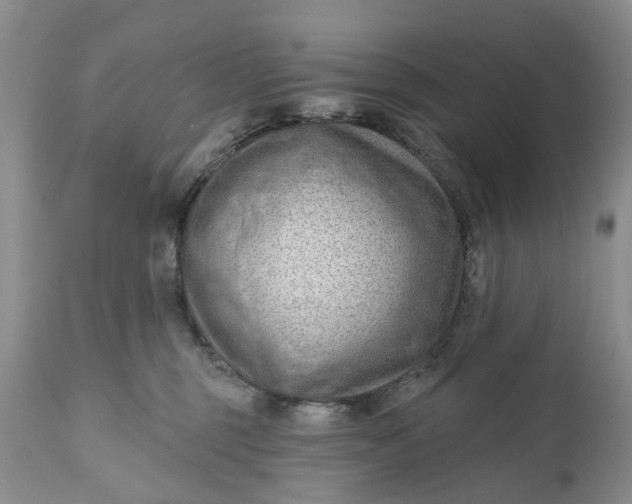 X0000111040375200907091615