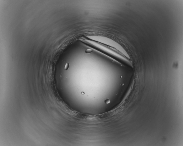 X0000111040376200907091615