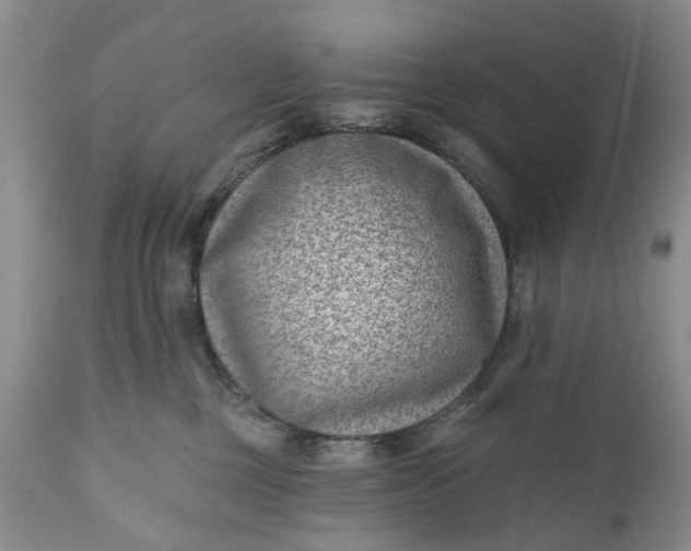 X0000111040377200907091615