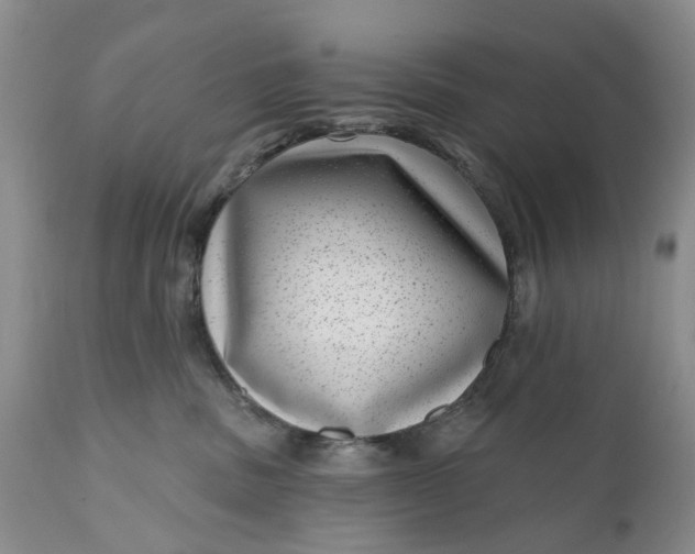 X0000111040379200907091615