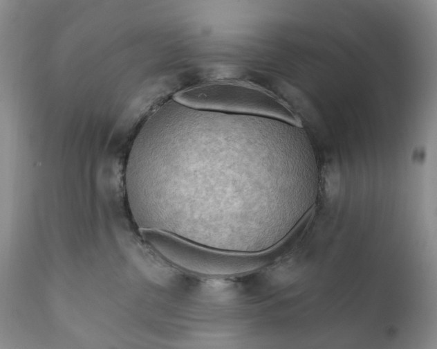 X0000111040380200907091615