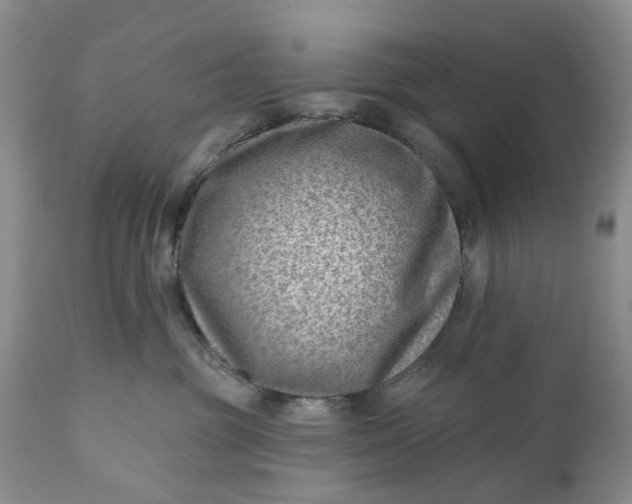 X0000111040381200907091615