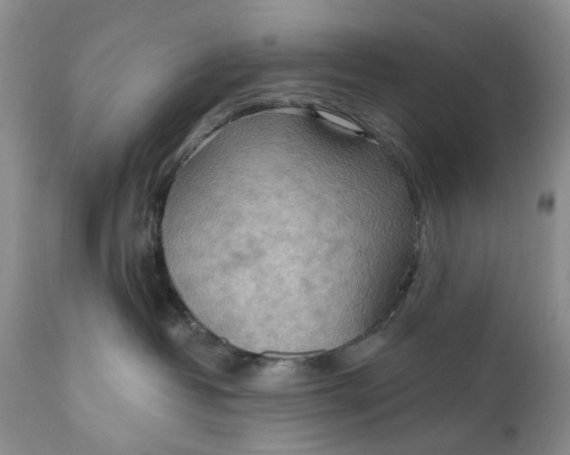 X0000111040382200907091615