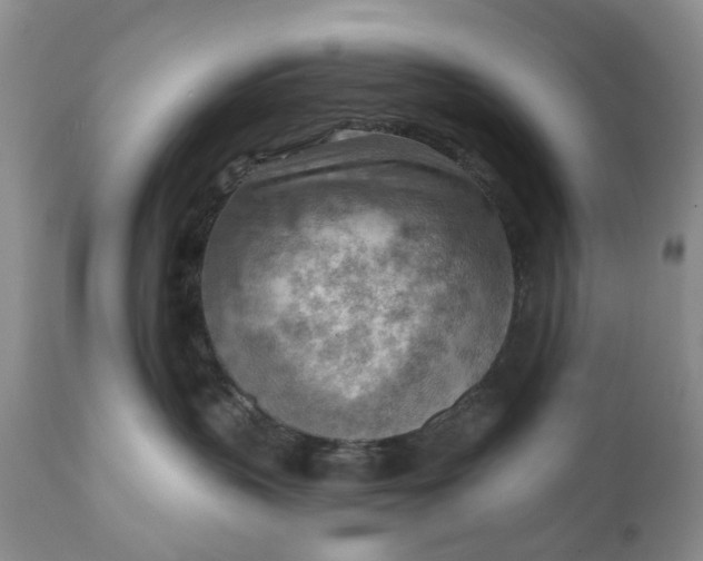 X0000111040383200907091615