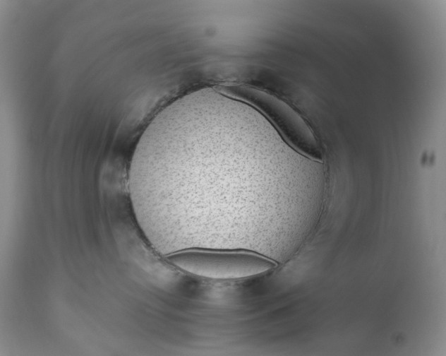 X0000111040384200907091615