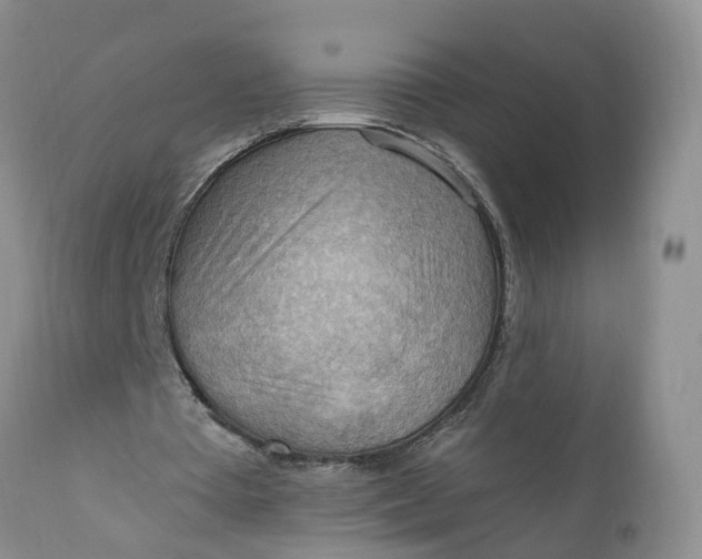 X0000111040385200907091614