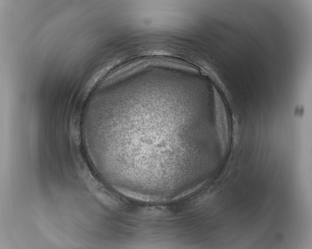 X0000111040386200907091614