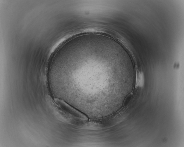 X0000111040387200907091614