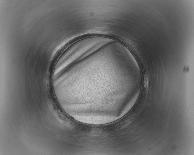 X0000111040388200907091614