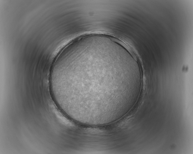 X0000111040389200907091614