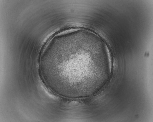 X0000111040390200907091614