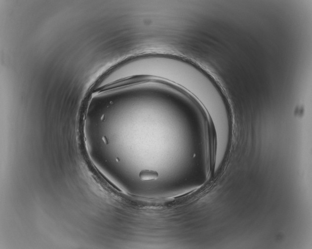 X0000111040391200907091614