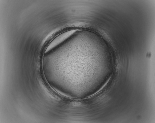 X0000111040392200907091614