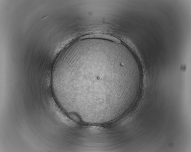 X0000111040393200907091614