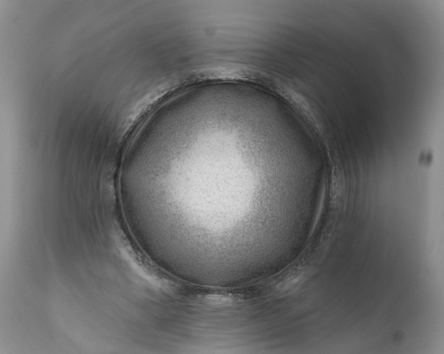 X0000111040394200907091614