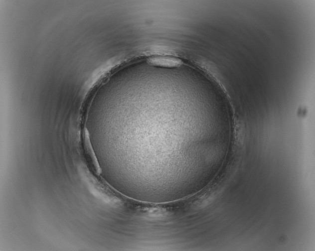 X0000111040395200907091614