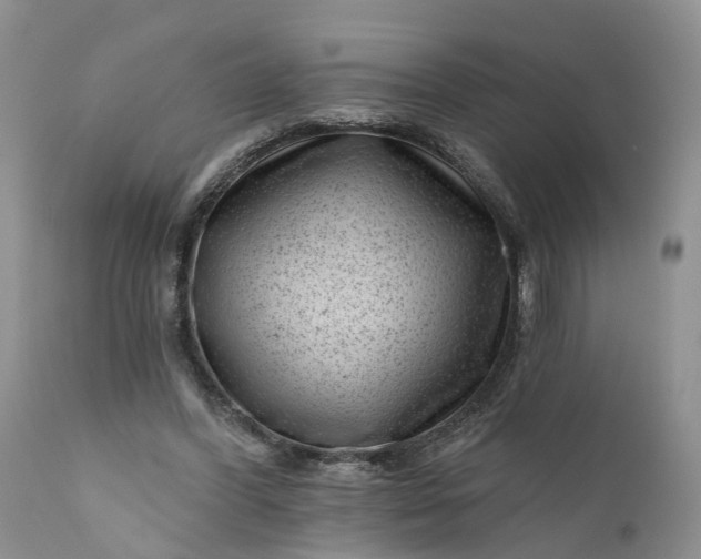 X0000111040396200907091614