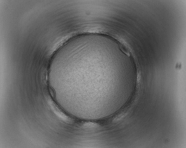 X0000111040397200907091614