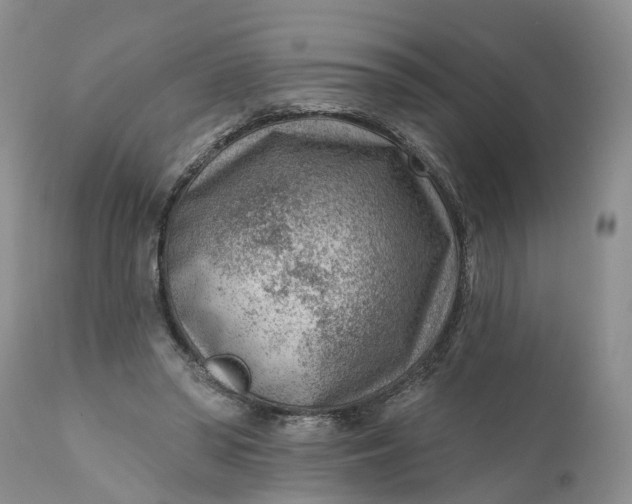 X0000111040398200907091614