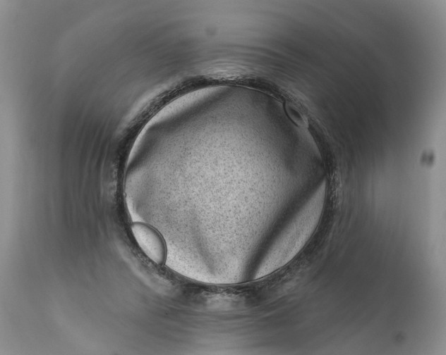 X0000111040400200907091614